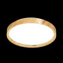 Настенно-потолочный светильник Woodi 3019/EL