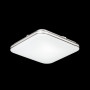 Настенно-потолочный светильник Lona 3020/DL
